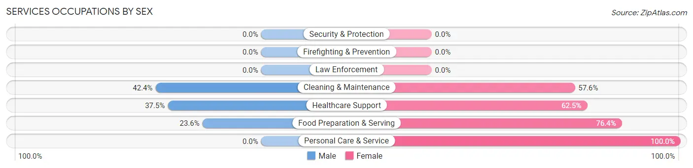 Services Occupations by Sex in Zip Code 35063