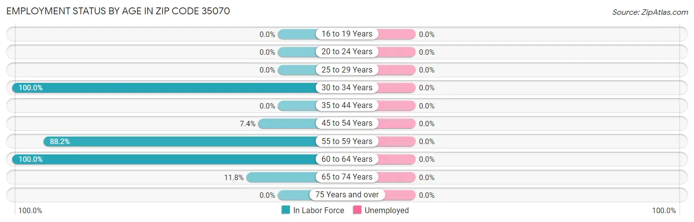 Employment Status by Age in Zip Code 35070