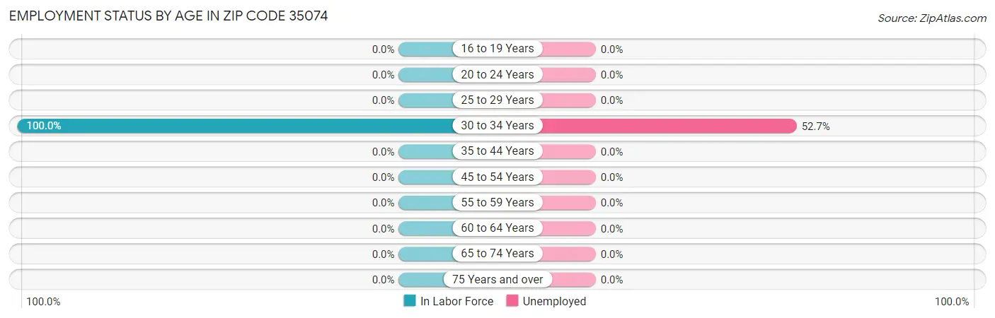 Employment Status by Age in Zip Code 35074