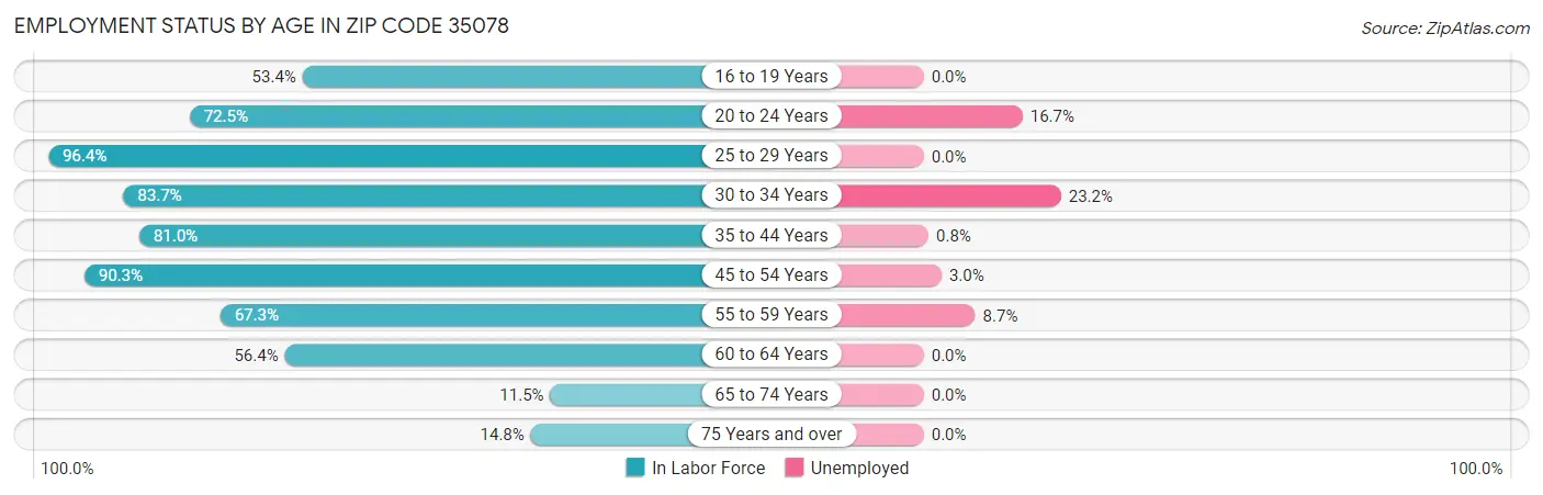 Employment Status by Age in Zip Code 35078