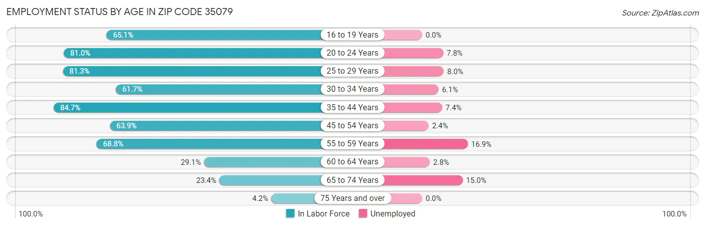 Employment Status by Age in Zip Code 35079