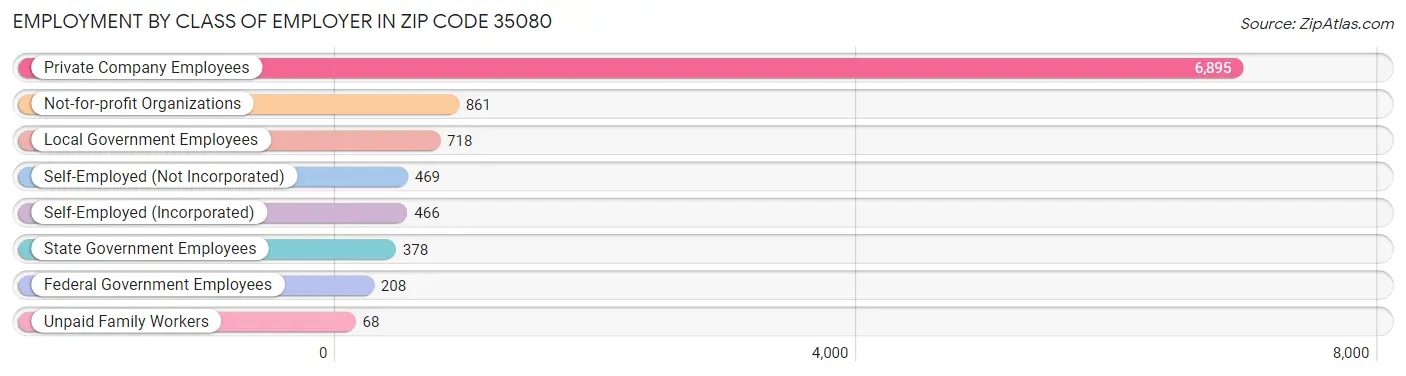 Employment by Class of Employer in Zip Code 35080