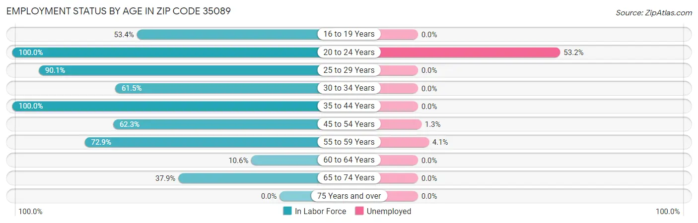 Employment Status by Age in Zip Code 35089