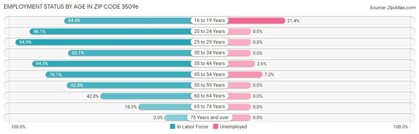 Employment Status by Age in Zip Code 35096