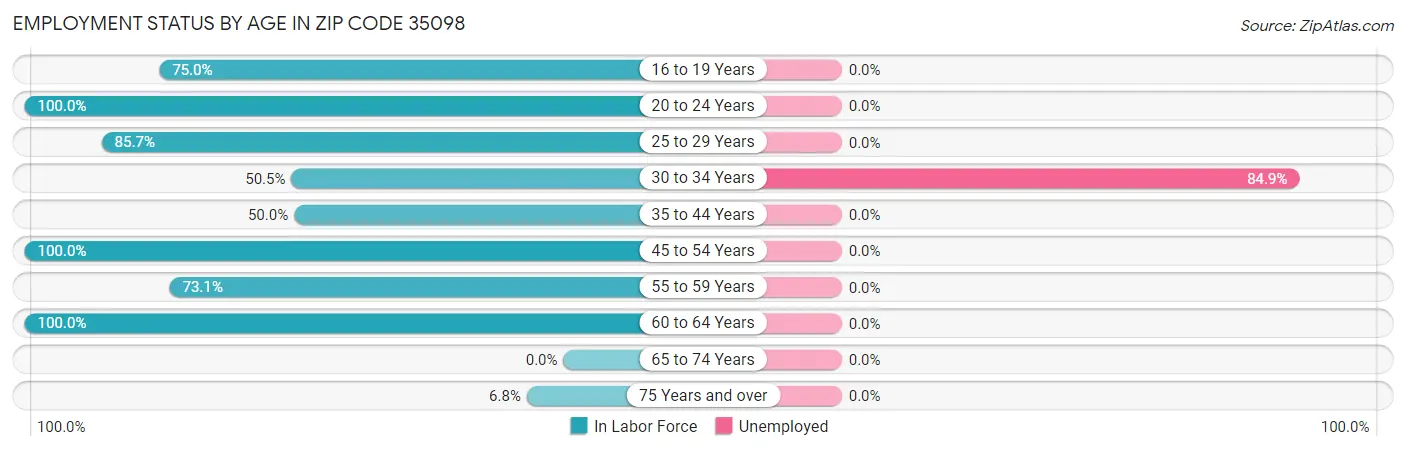 Employment Status by Age in Zip Code 35098