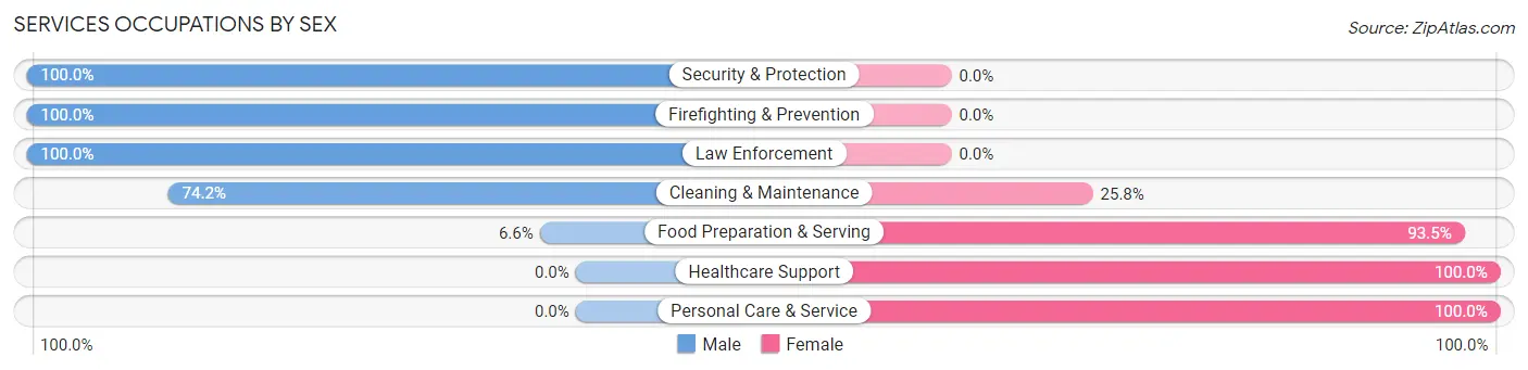 Services Occupations by Sex in Zip Code 35128