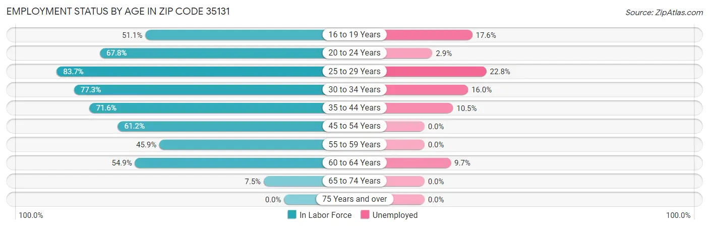 Employment Status by Age in Zip Code 35131