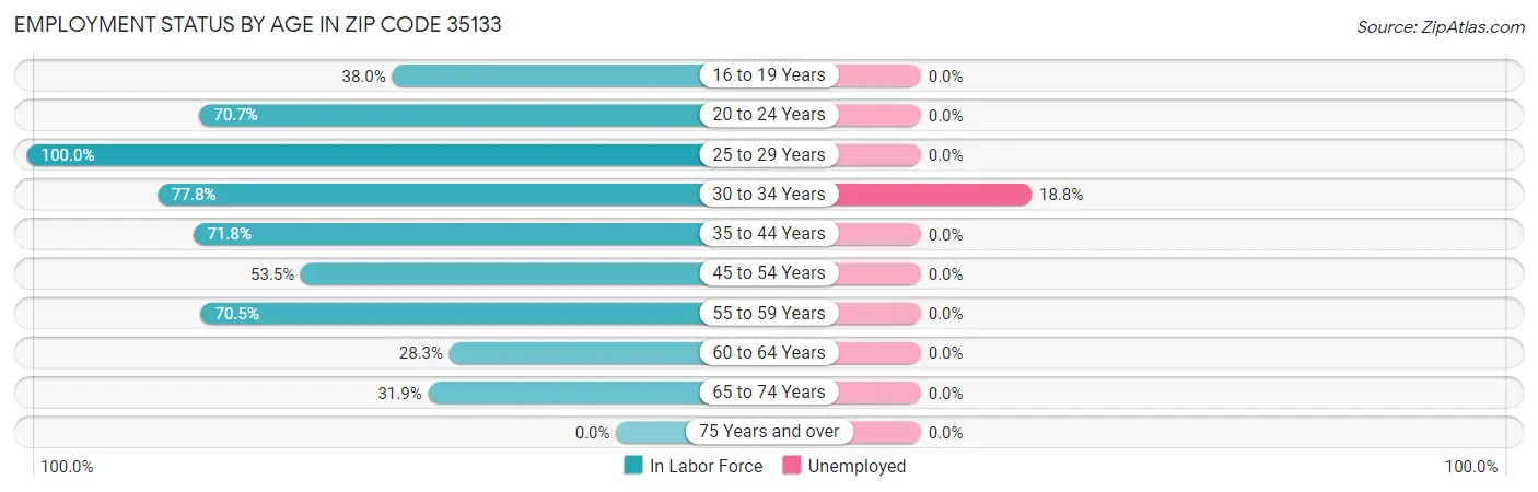 Employment Status by Age in Zip Code 35133