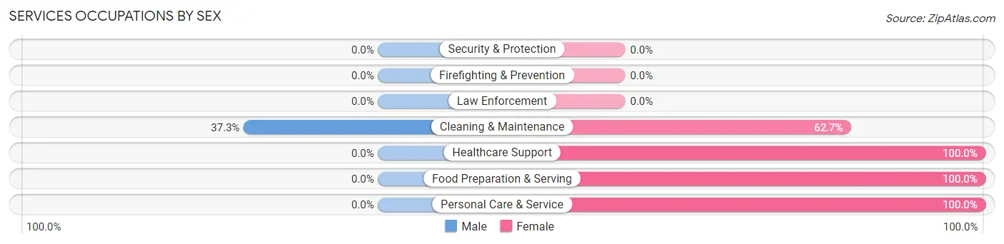Services Occupations by Sex in Zip Code 35133
