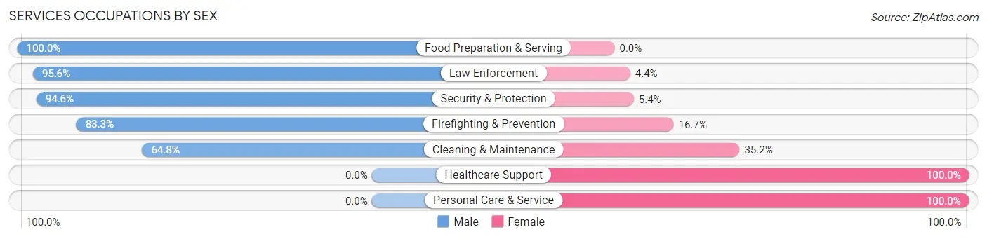 Services Occupations by Sex in Zip Code 35151