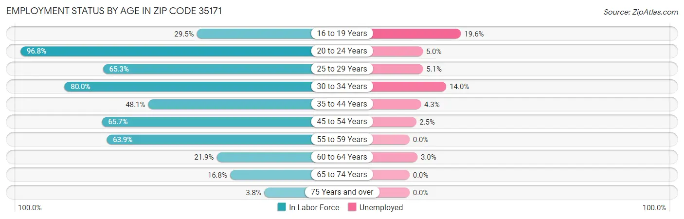 Employment Status by Age in Zip Code 35171
