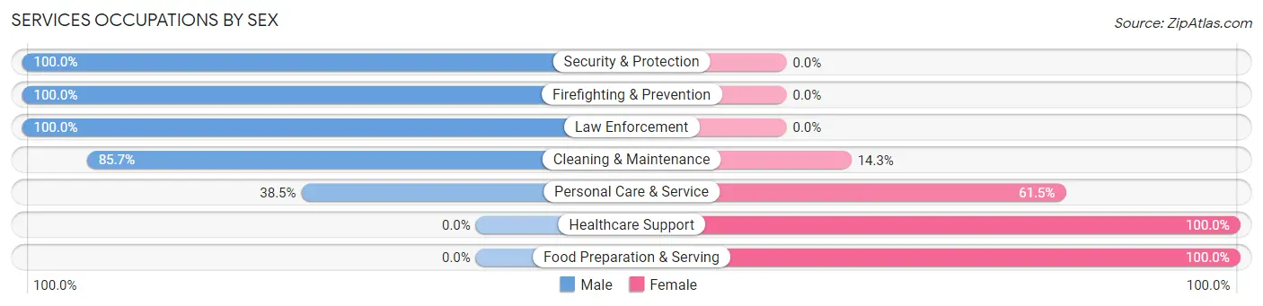 Services Occupations by Sex in Zip Code 35172