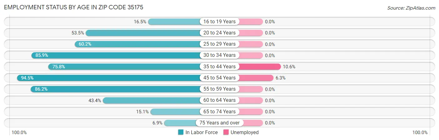 Employment Status by Age in Zip Code 35175