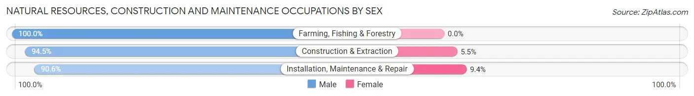 Natural Resources, Construction and Maintenance Occupations by Sex in Zip Code 35186