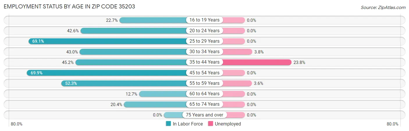 Employment Status by Age in Zip Code 35203