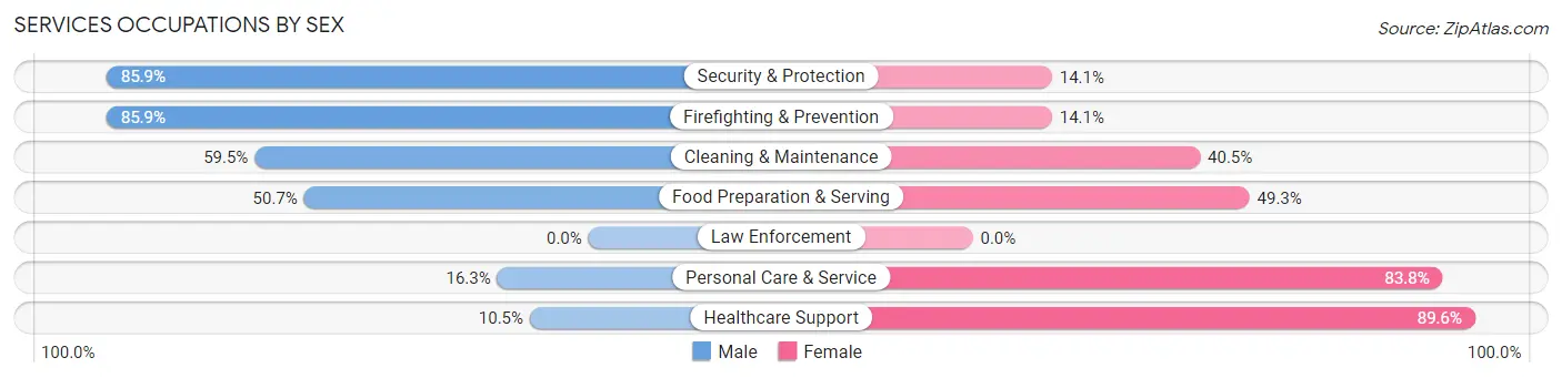 Services Occupations by Sex in Zip Code 35204