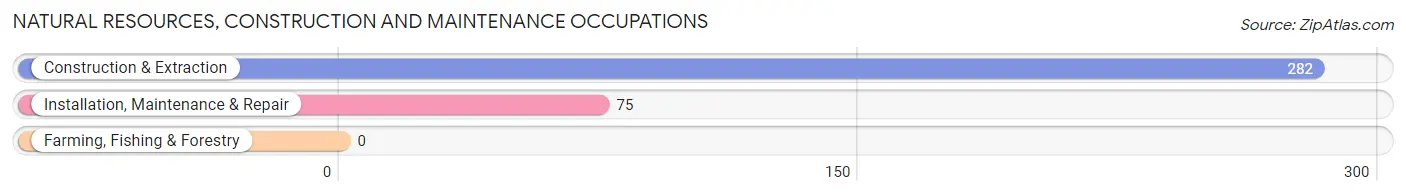 Natural Resources, Construction and Maintenance Occupations in Zip Code 35208