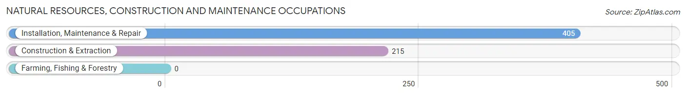 Natural Resources, Construction and Maintenance Occupations in Zip Code 35214