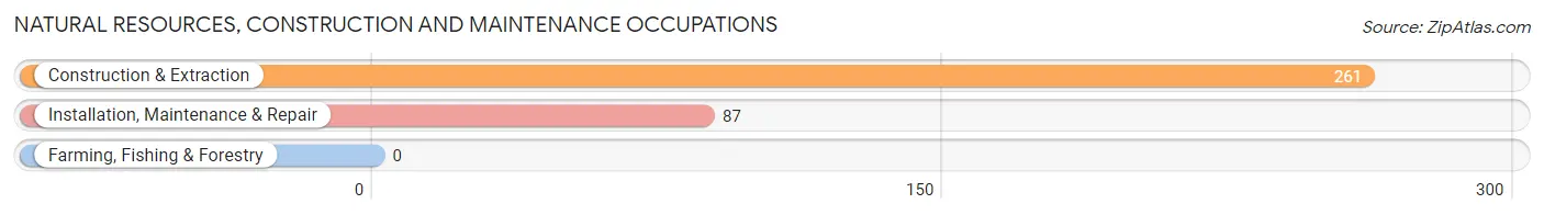 Natural Resources, Construction and Maintenance Occupations in Zip Code 35228