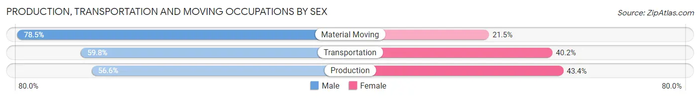 Production, Transportation and Moving Occupations by Sex in Zip Code 35404