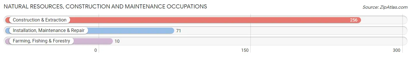 Natural Resources, Construction and Maintenance Occupations in Zip Code 35406