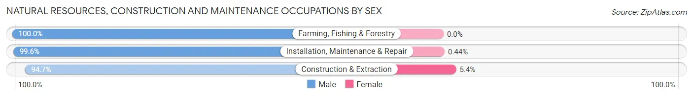 Natural Resources, Construction and Maintenance Occupations by Sex in Zip Code 35453