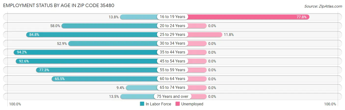 Employment Status by Age in Zip Code 35480
