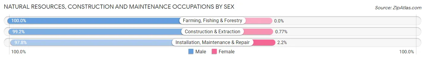 Natural Resources, Construction and Maintenance Occupations by Sex in Zip Code 35541