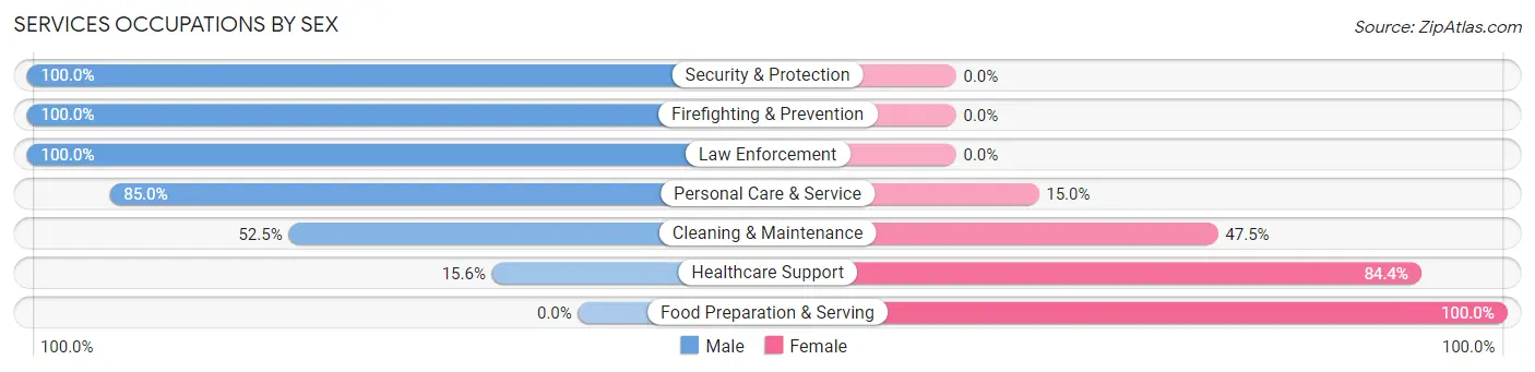 Services Occupations by Sex in Zip Code 35553