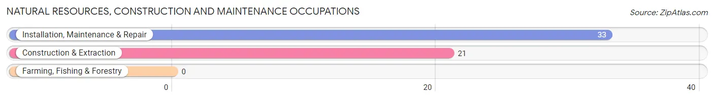 Natural Resources, Construction and Maintenance Occupations in Zip Code 35571