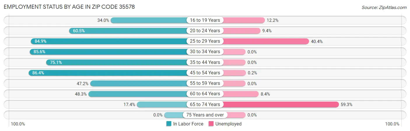 Employment Status by Age in Zip Code 35578