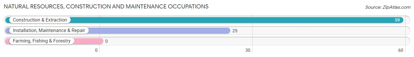 Natural Resources, Construction and Maintenance Occupations in Zip Code 35586