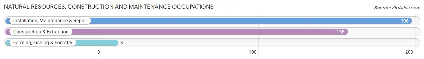 Natural Resources, Construction and Maintenance Occupations in Zip Code 35594