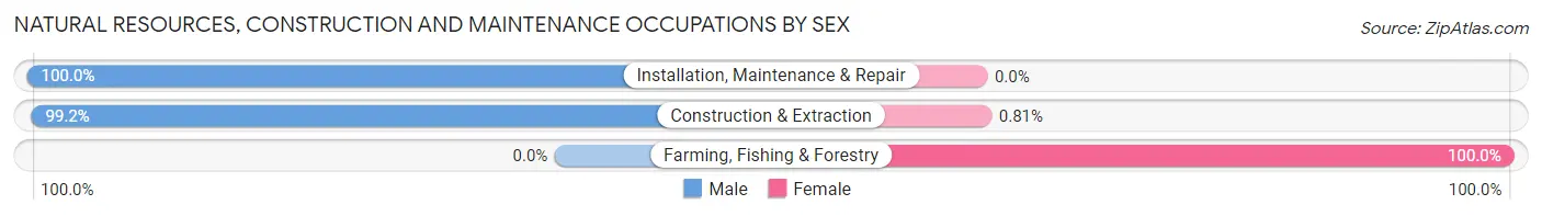 Natural Resources, Construction and Maintenance Occupations by Sex in Zip Code 35620