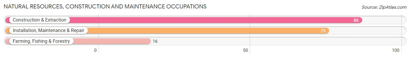 Natural Resources, Construction and Maintenance Occupations in Zip Code 35643