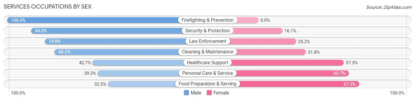 Services Occupations by Sex in Zip Code 35673