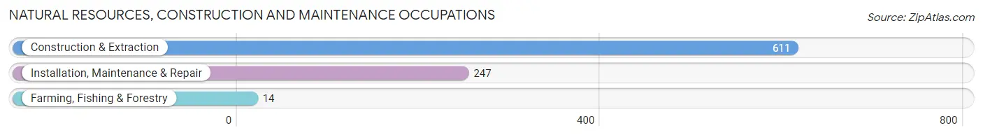 Natural Resources, Construction and Maintenance Occupations in Zip Code 35674