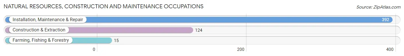 Natural Resources, Construction and Maintenance Occupations in Zip Code 35768