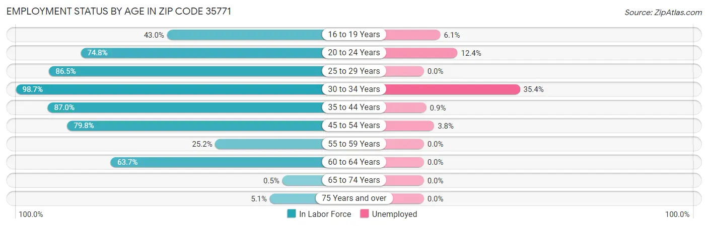 Employment Status by Age in Zip Code 35771