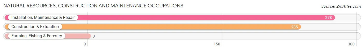 Natural Resources, Construction and Maintenance Occupations in Zip Code 35806