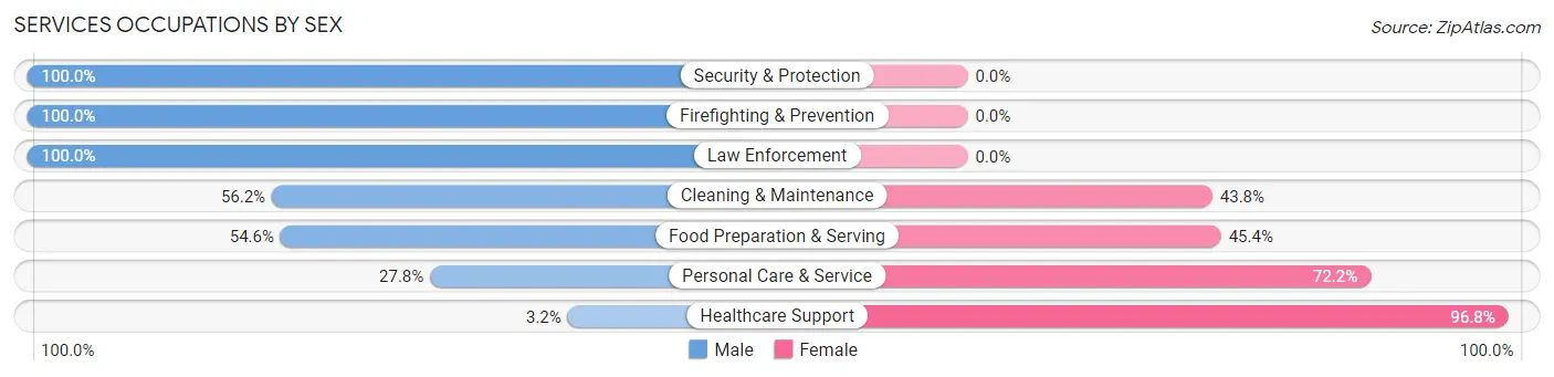 Services Occupations by Sex in Zip Code 35816