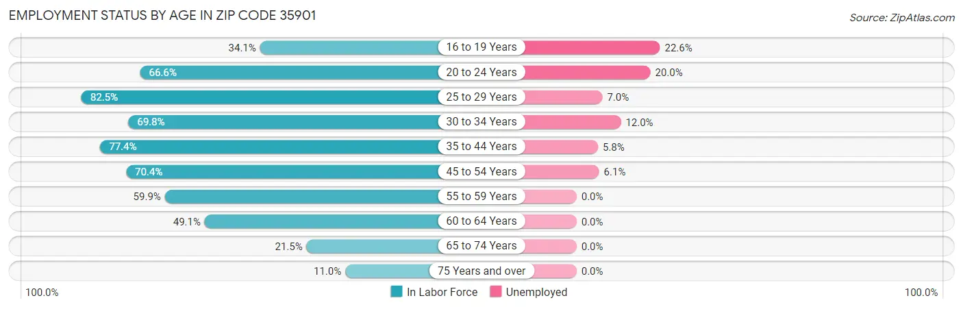 Employment Status by Age in Zip Code 35901