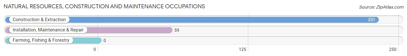 Natural Resources, Construction and Maintenance Occupations in Zip Code 35906