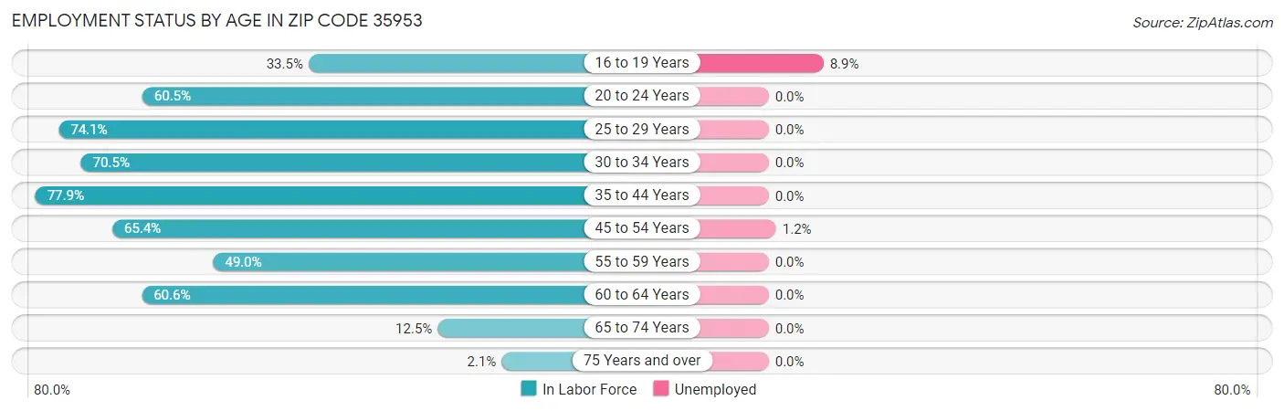 Employment Status by Age in Zip Code 35953