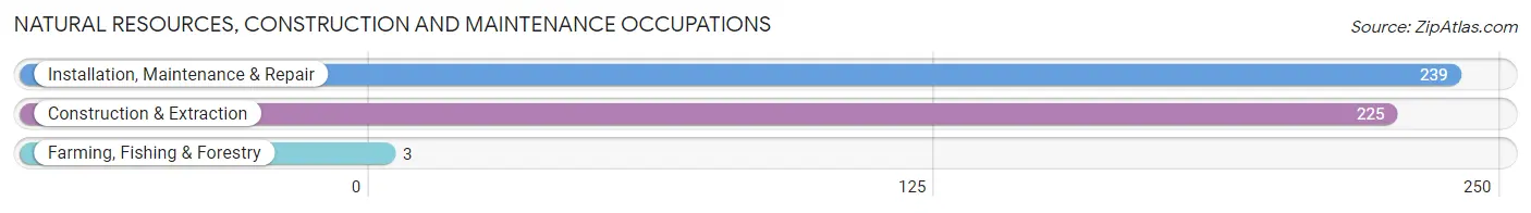 Natural Resources, Construction and Maintenance Occupations in Zip Code 35956