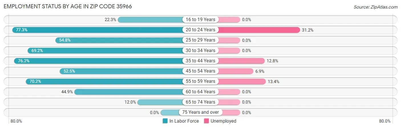 Employment Status by Age in Zip Code 35966