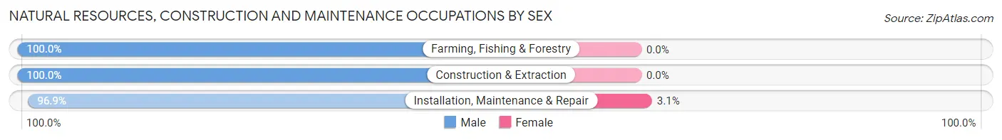 Natural Resources, Construction and Maintenance Occupations by Sex in Zip Code 35968