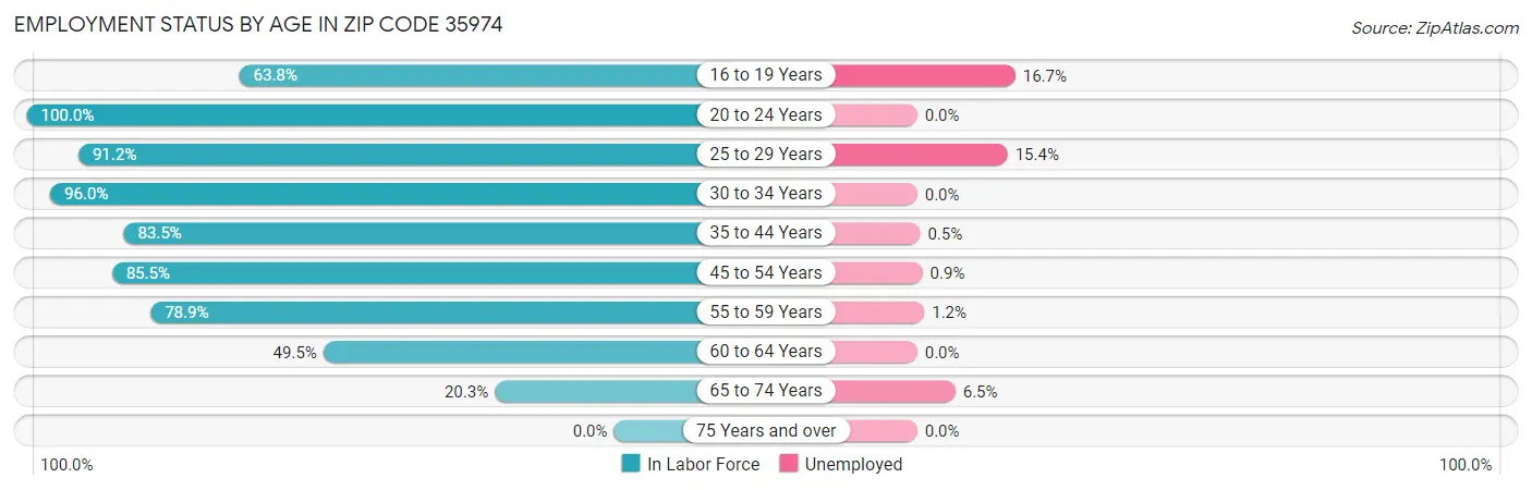 Employment Status by Age in Zip Code 35974