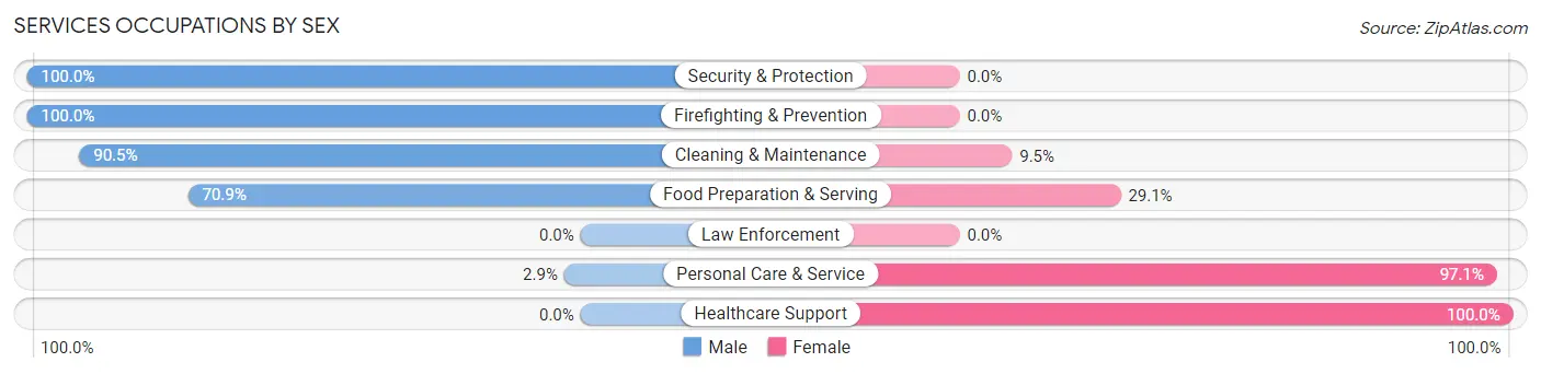 Services Occupations by Sex in Zip Code 35974