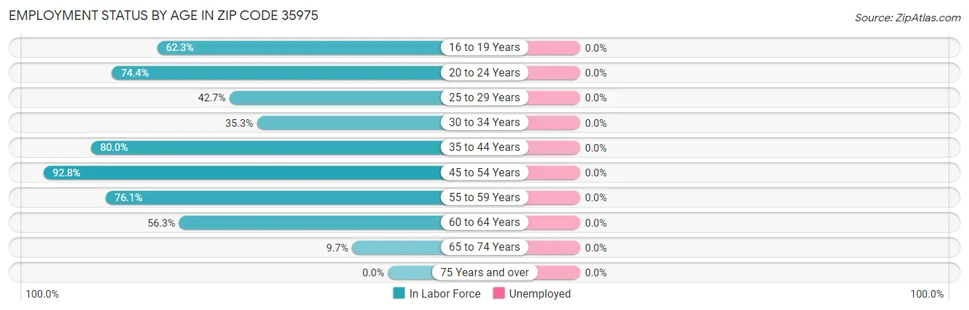 Employment Status by Age in Zip Code 35975